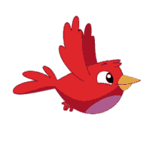 Animated Image